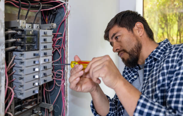 Best Electric Panel Repair  in Canon, GA